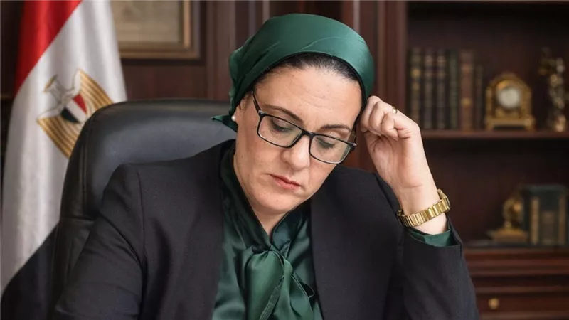 داليا الأتربي: تأمين امتحانات الثانوية العامة ضرورة لحماية مستقبل الطلاب