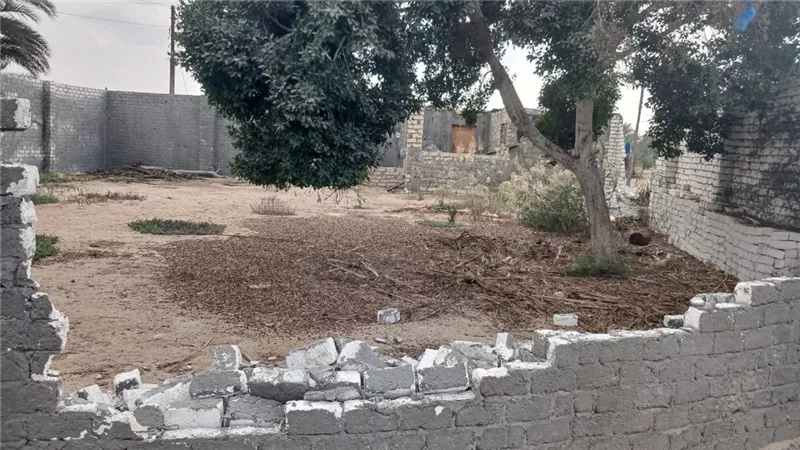 تنفيذ إزالة 20 حالة تعدٍّ على مساحة فدان وقيراط بالإسماعيلية