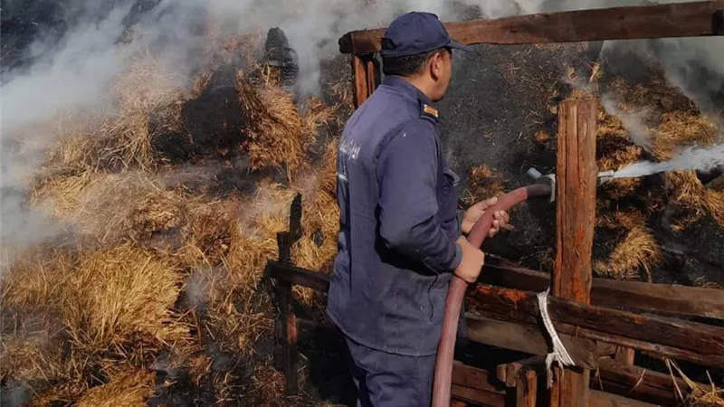 السيطرة على حريق ببالات قش الأرز بالسنطة البلد دون إصابات