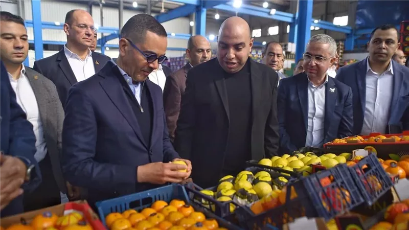 وزير الاستثمار يتفقد عدد من المصانع بالمنطقة الاستثمارية ببنها