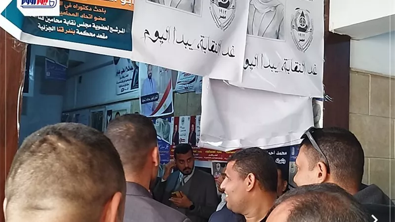  الساعات الأولى للانتخابات تشهد إقبالا كبيرا من المحامين على اللجان بقنا