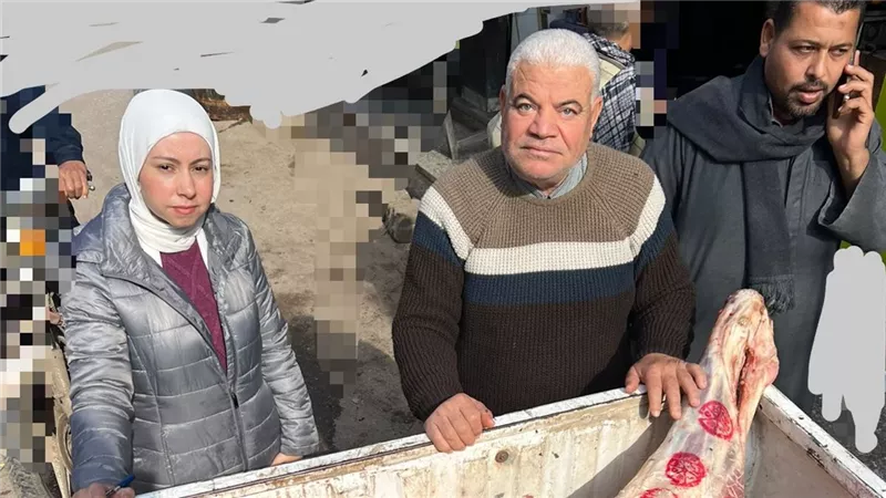 محافظ المنوفية: ضبط 5 طن ونصف لحوم ودواجن وأسماك غير صالحة للاستهلاك