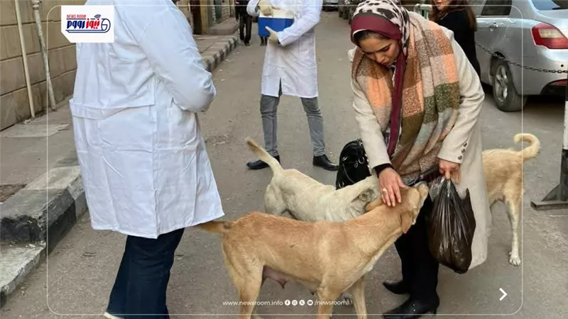 بيطري المنيا: تحصين الكلاب الحرة ضد السعار بعدة مناطق حيوية بالمحافظة