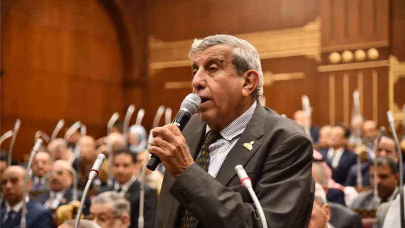 نائب بمجلس الشيوخ: نعمل على حماية المواطنين من حوادث الكلاب الضالة