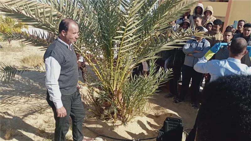 الزراعة: جهود مكثفة لمكافحة سوسة النخيل الحمراء وحماية أكثر من 22 مليون نخلة