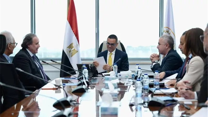 وزير الاستثمار يبحث مع «Brandix» السيريلانكية التوسع في صناعة المنسوجات بمصر