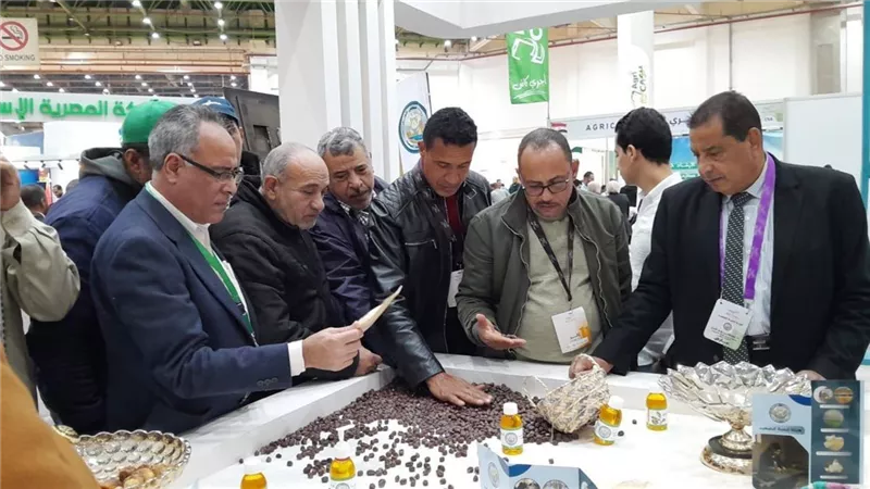 هيئة تنمية الصعيد تتابع فعاليات 