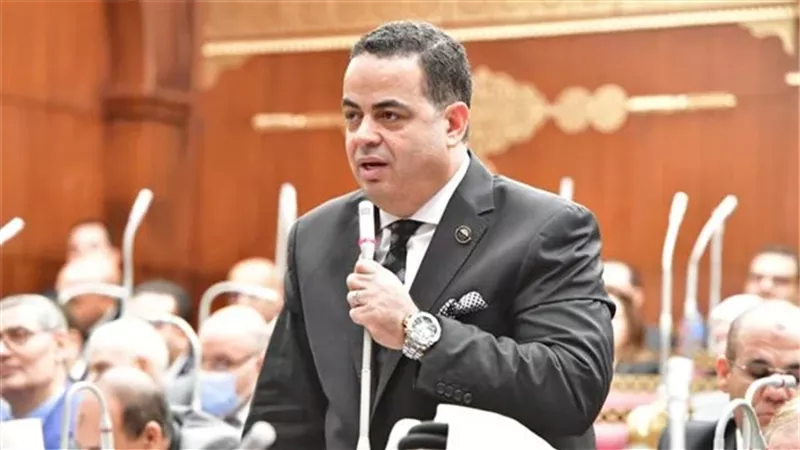 عصام هلال: أمن الخليج خط أحمر وجزء من الأمن القومي المصري