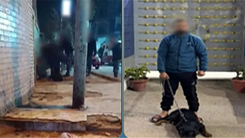 شاهد شاب يستعين بكلبه في التعدي على عامل بالزقازيق.. والشرطة تتدخل