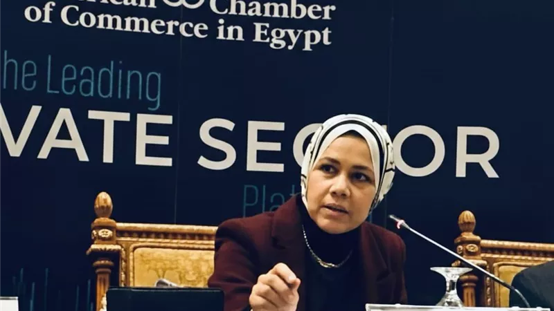 الضرائب: الالتزام بالفاتورة والإيصال شرط للاستفادة من نظام المحاسبة المبسط