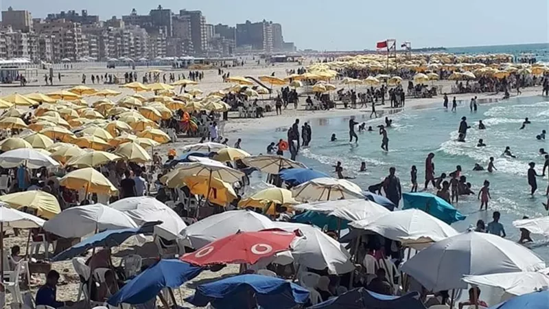 بسبب 13 مليون جنيه .. فسخ تعاقد شاطئ النخيل بعد عامين من فتح الشاطئ المغلق