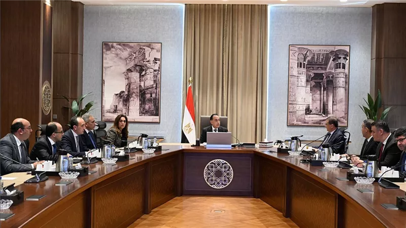 الحكومة تطلق خطة شاملة لإيواء وتعقيم الحيوانات الضالة لحماية المواطنين