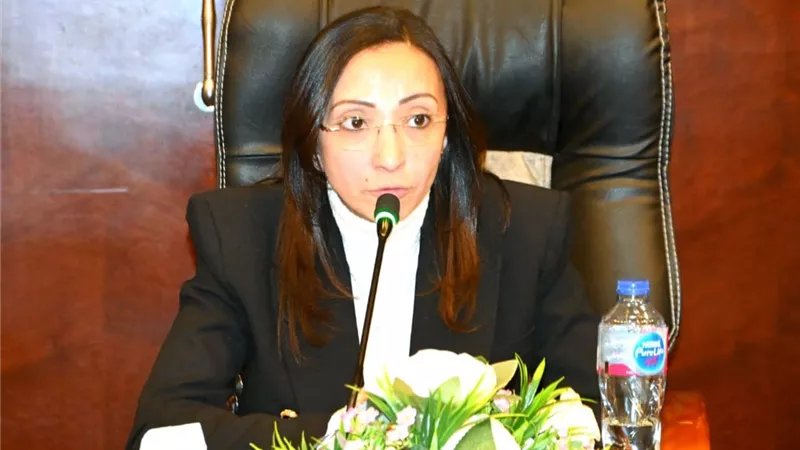 البحيرة: خطة مشتركة بين المحافظة والنواب للنهوض بالقطاع الصحي والتعليمي