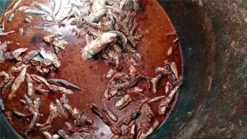 ضبط نصف طن لحوم ودواجن وأسماك غير صالحة للإستهلاك الآدمي بالمنوفية 