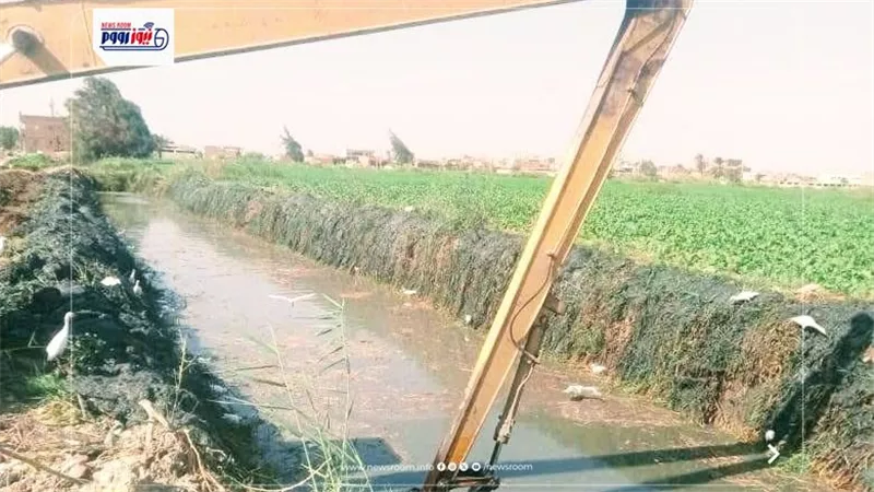 الري: تطهير 55 كيلو مترا من الترع والمصارف على مستوى الجمهورية
