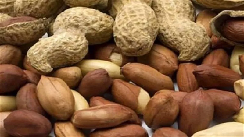ليس للتسلية فقط.. كيف يدعم الفول السوداني القلب ويوازن الكوليسترول؟ 	