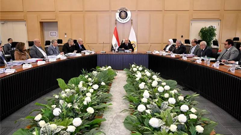 الوزير: 