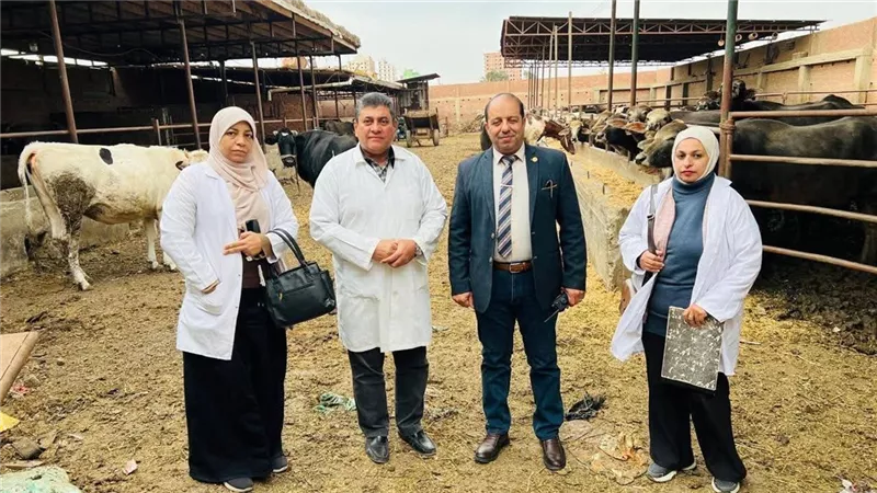 تحصين 68 ألف رأس ماشية ضد مرضي الحمى القلاعية والوادى المتصدع بالدقهلية