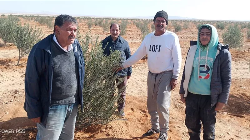 جولات ميدانية وخدمات إرشادية لـ 