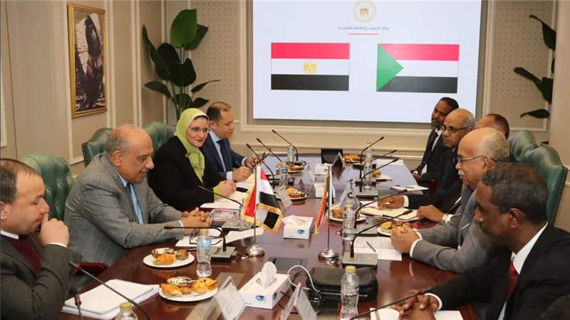 مصر والسودان تبحثان التعاون في مجالات الكهرباء والطاقات المتجددة