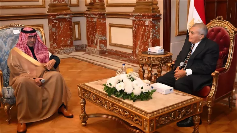 رئيس مجلس الشيوخ يستقبل السفير السعودي بالقاهرة.. صور