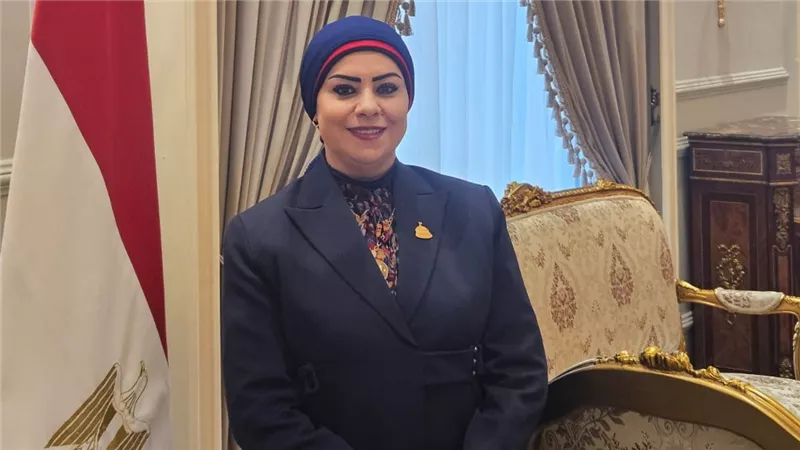 جيهان شاهين تتقدم بطلب إحاطة بسبب نقص أسرة العناية بالمستشفيات الحكومية