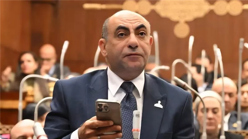 محمد موسى يطالب بربط الإعفاء من تحصيل الجمارك للهواتف بمدة الإقامة للسياح