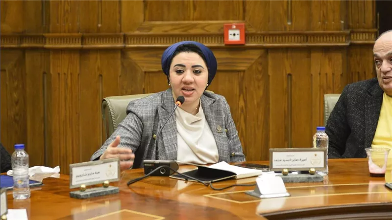 أميرة صابرتدعم ياسر جلال:حق الأداء العلني استحقاق قانوني وليس معركة بين الفن