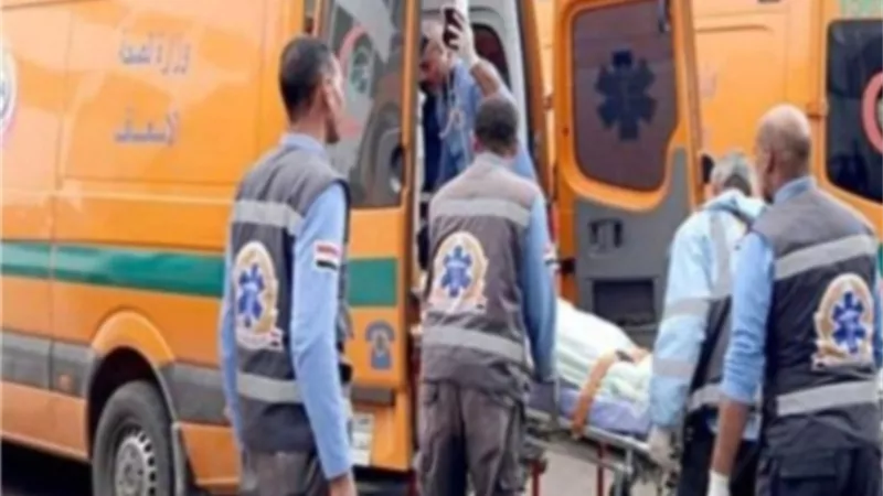 العثور على جثة شخص خلف مبني مجلس مدينة أبو حمص بالبحيرة 