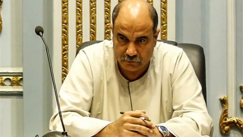 برلماني لـ«نيوز رووم»: الفلاح يتحمل أعباء مضاعفة بسبب ارتفاع أسعار الأسمدة