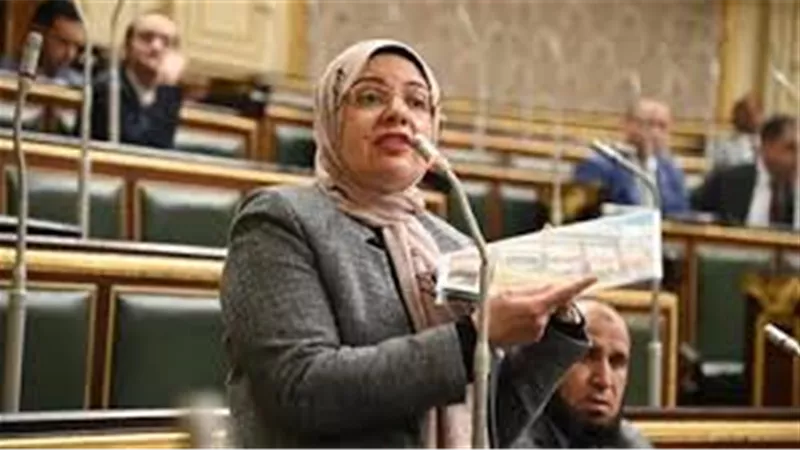 أول تحرك برلماني بعد تصريحات السفير الأمريكي عن حق إسرائيل في أخذ أراضٍ عربية