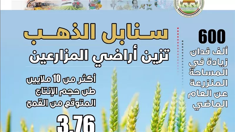  3.76 مليون فدان.. الزراعة تعلن تجاوز المستهدف من المساحات المنزرعة بالقمح 