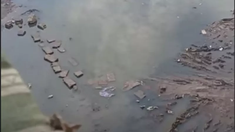غضب أهالي شط جريبه يتصاعد بسبب غياب شبكة الصرف الصحي المستمر