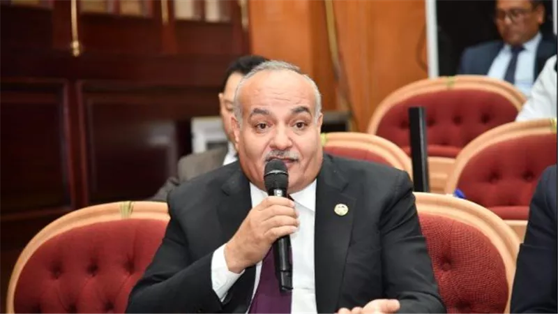 نائب: زيارة الرئيس للإمارات وعمان فضحت أكاذيب الإخوان للوقيعة بين مصر والأشقاء