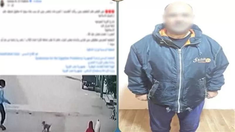 بسبب النباح أمام منزله.. ضبط المتهم بالتعدي على كلب بالضرب في الإسماعيلية