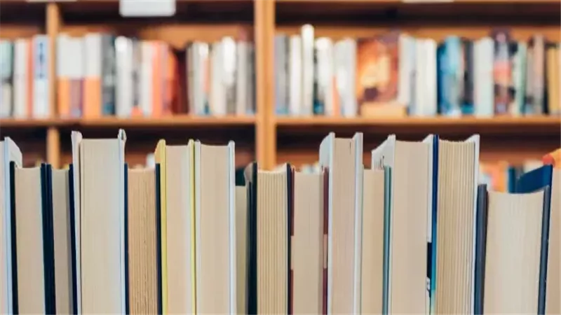 مكتبة مصر العامة بقنا تطلق 20 برنامجًا تدريبيًا وثقافيًا خلال إجازة نصف العام