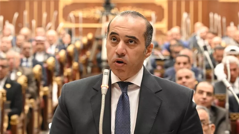 المستشار محمود فوزي: حريصون على التعاون مع مجلس النواب
