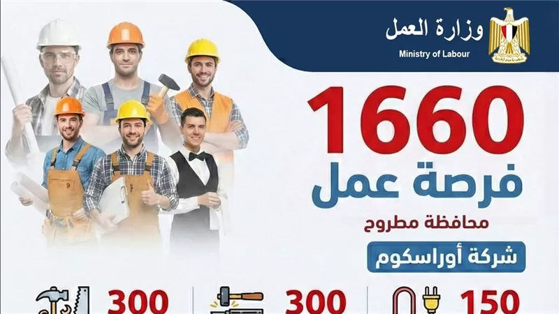 برواتب تصل إلى 12000 جنيه.. العمل توفر 1660 فرصة عمل في مجالات متعددة