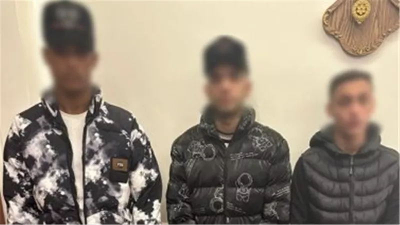 القبض على المتهمين بالتعدي على أشخاص بأسلحة بيضاء بالدقهلية