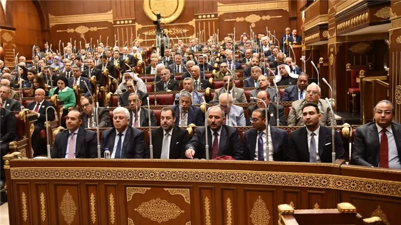 نائب: يجب استشارة نقابة الأطباء في تعديل القانون..وفوزي يوضح الضوابط الدستورية