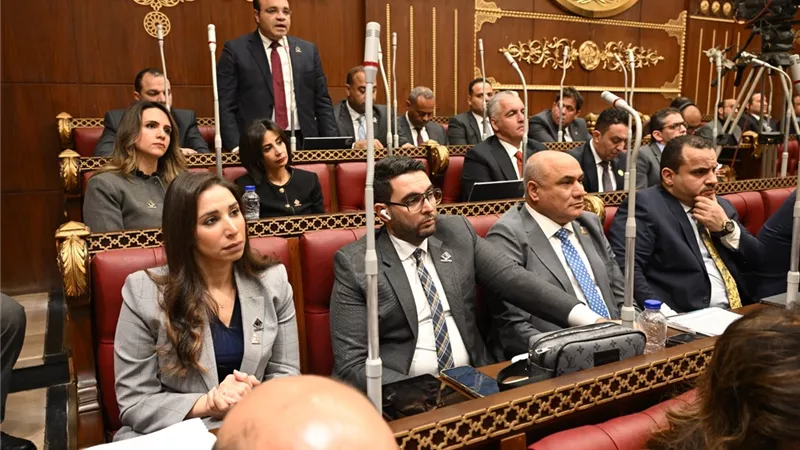 حنان وجدي: النقاشات البرلمانية تشمل البعد التربوي والنفسي والأمني للأطفال