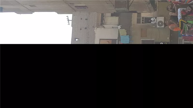 الجمل ينافس الذهب في الأقصر.. 6000 جنيه إيجار يوم واحد داخل مولد أبو الحجاج