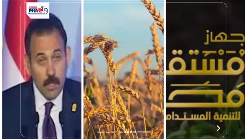 «مصر عادت شمسك الذهبي».. 1.6 مليون طن تراجع في واردات القمح.. كيف تحقق الحلم؟
