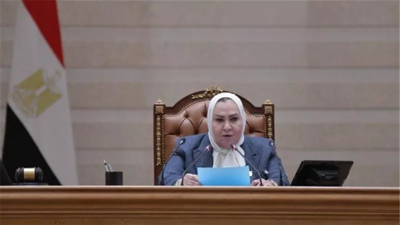 القومي للمرأة: تمكين المرأة المصرية استثمار مباشر يرفع كفاءة الموارد بنسبة 34%