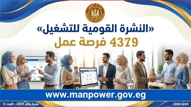 وزارة العمل: 4379 فرصة عمل جديدة في 12 محافظة ضمن نشرة التوظيف نصف الشهرية