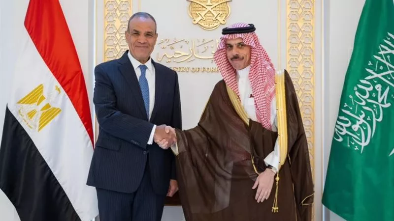 وزير الخارجية يلتقي نظيره السعودي لتنسيق الجهود حول غزة والسودان والملف النووي