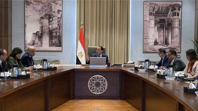 رئيس الوزراء يتابع موقف الطروحات في قطاع الطاقة لجذب مزيد من الإستثمارات