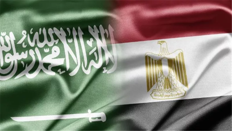أشرف العشري: التنسيق بين مصر والسعودية يهدف إلى تأمين الأمن القومي العربي 