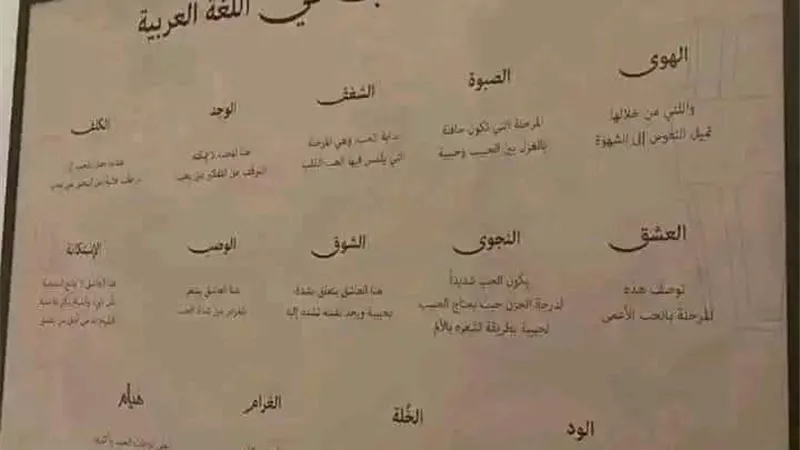 ١٤ درجة للحب في اللغة العربية.. أولها الهوى وآخرها هُيام