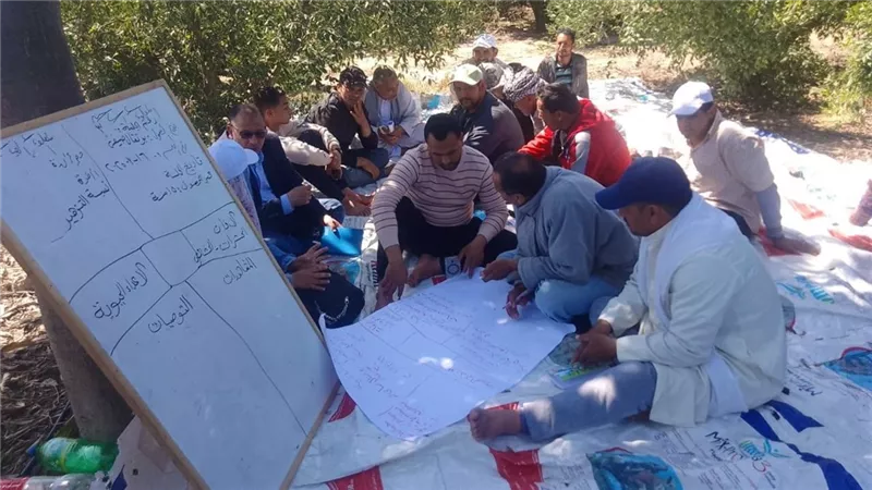 الزراعة تكشف حصاد قطاع استصلاح الأراضي إزالة التعديات وتوريد المحاصيل